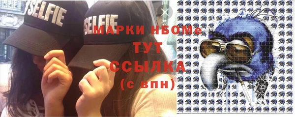 мдпв Богородск