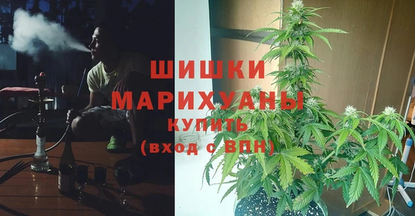 соль ск Богородицк