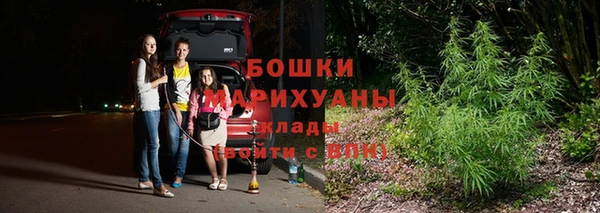 соль ск Богданович