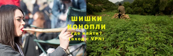 соль ск Богданович