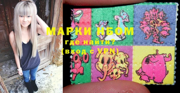 мдпв Богородск