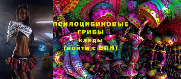 соль ск Богородицк